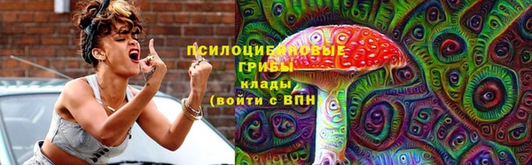 гидропоника Зеленокумск