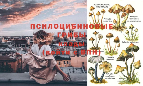 дурь Зеленодольск