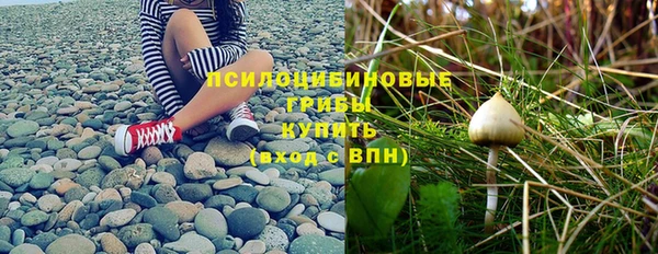 дурь Зеленодольск