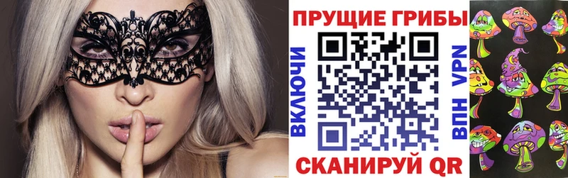 Псилоцибиновые грибы GOLDEN TEACHER  Купить где  Иланский 